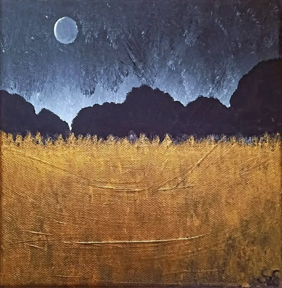 Isijavanje u noći - Otvaranje izložbe Dr. Wide Esztera